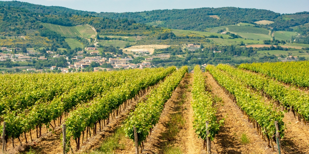 Limoux Wine Destinations in the Languedoc Winerist