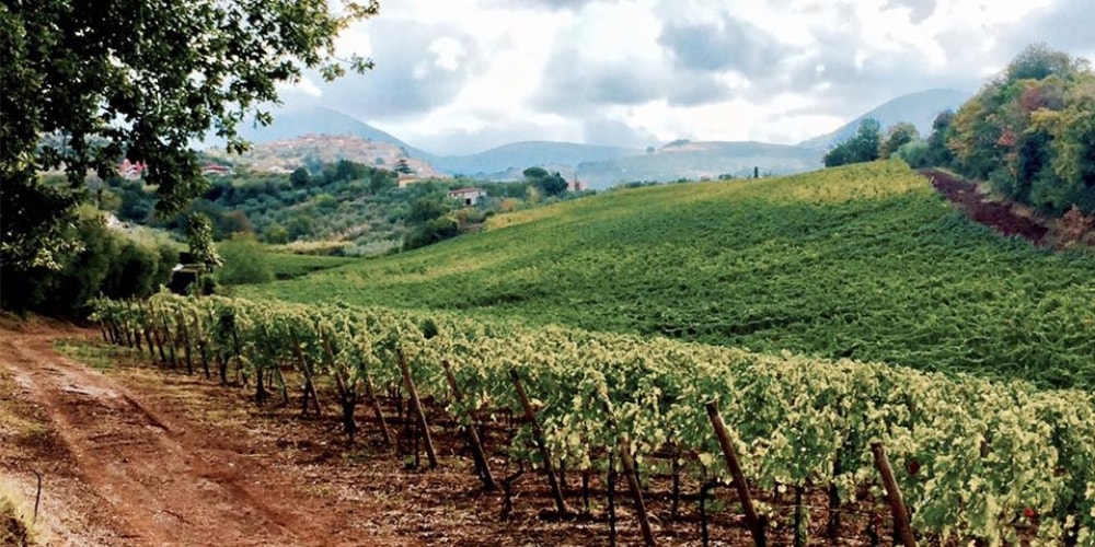 Marco Carpineti in Lazio winerist