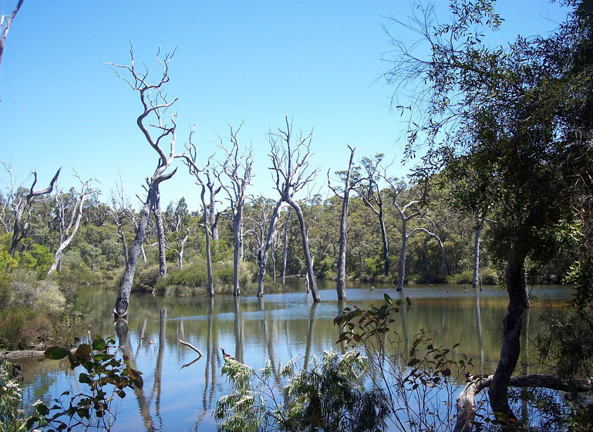 Margaret River Top things Australia