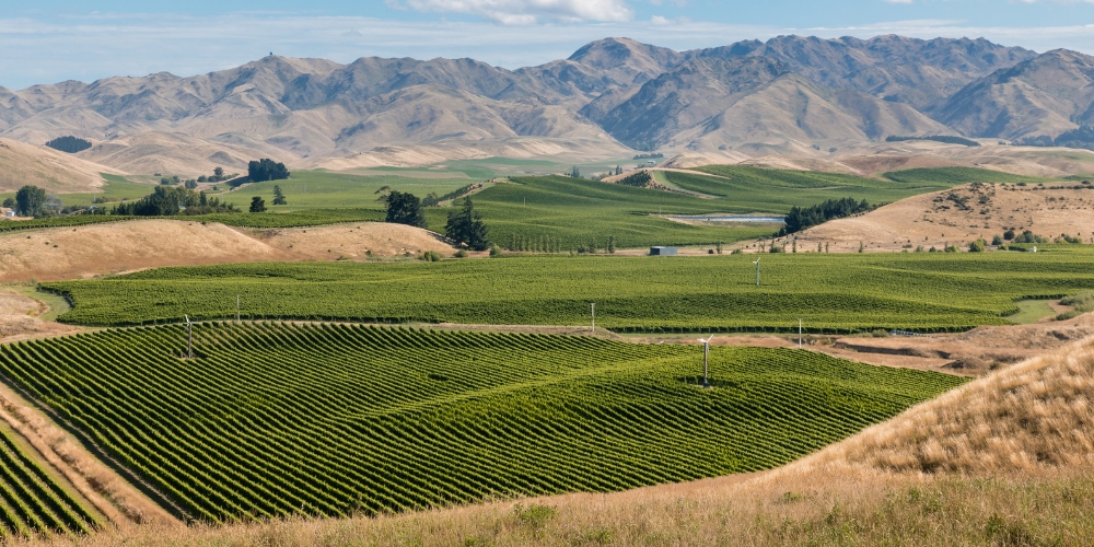 Marlborough, Wine Regions of New Zealand, Winerist