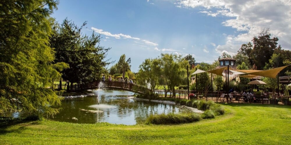 Matetic Vineyards, Best Wineries in Casablanca Valley, Chile, Winerist