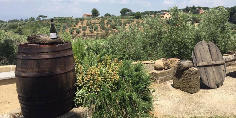 Minardi Frascati Winery in Lazio winerist