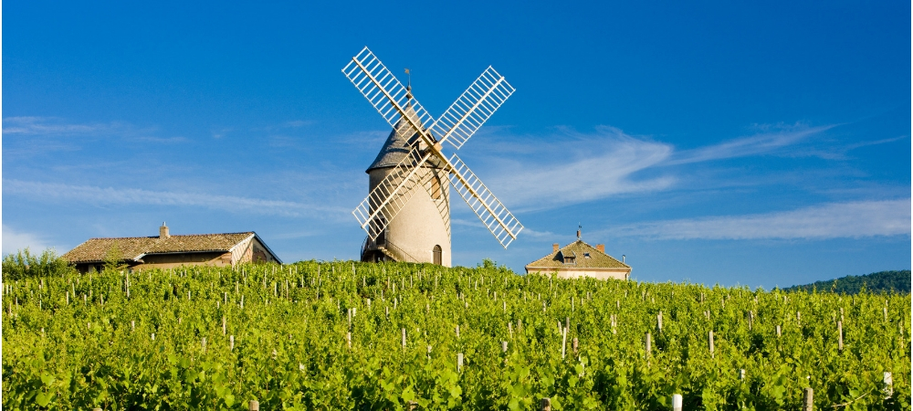 winerist beaujolais wine tours