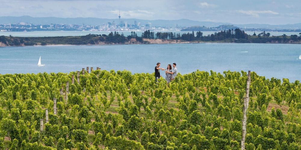 New Zealand Travel Guide to Auckland, Winerist