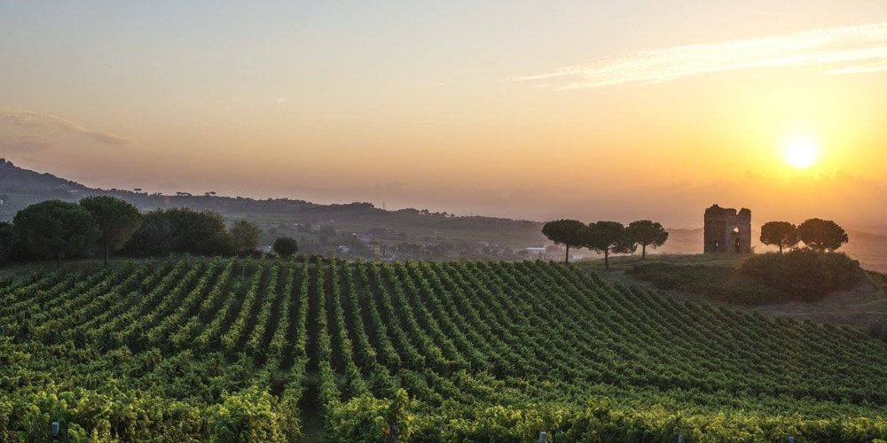 lazio vineyard tours