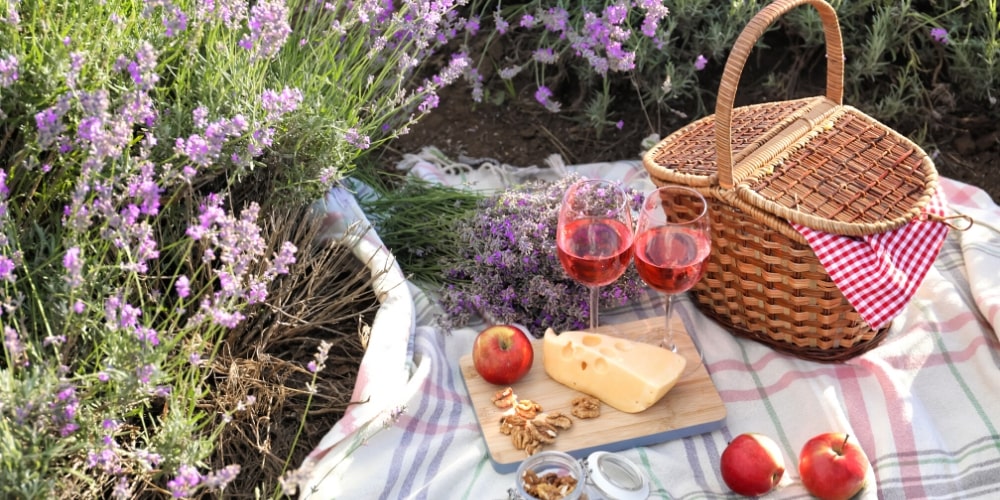 Provence, Are These the Sexiest Valentine’s Day Travel Destinations in the World, Winerist