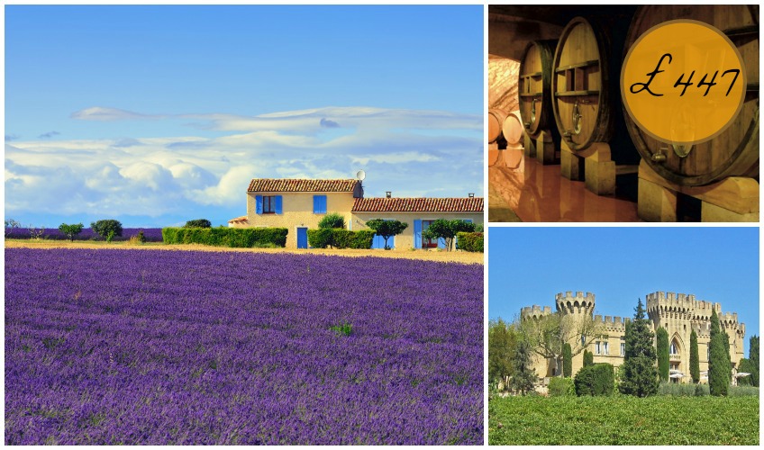 Provence Lavender Wine Tour