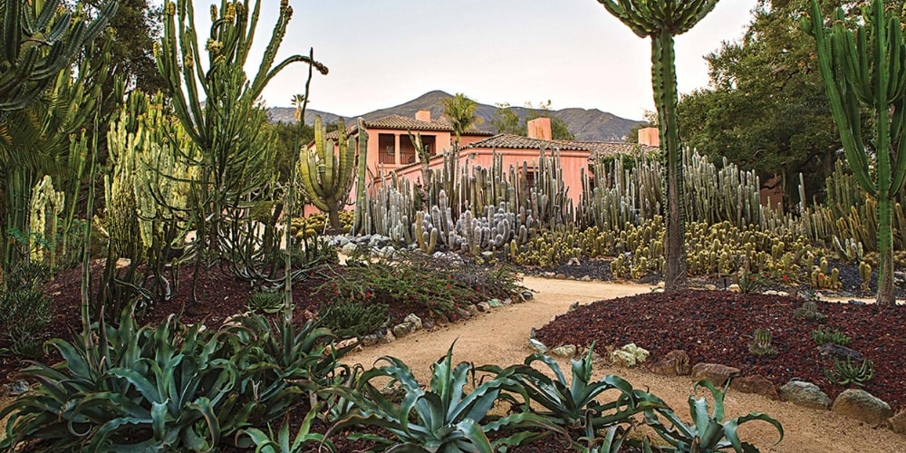 Santa Barbara Botanic Gardens, 7 Reasons to Visit Santa Barbara in 2020, Winerist
