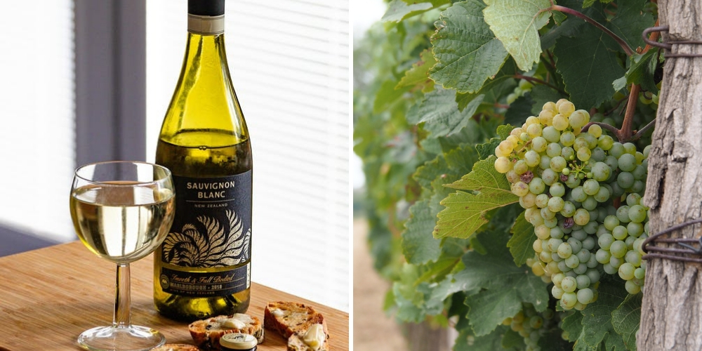 Sauvignon Blanc, What Are The Grape Varieties That Are Shaking Up New Zealand, Winerist