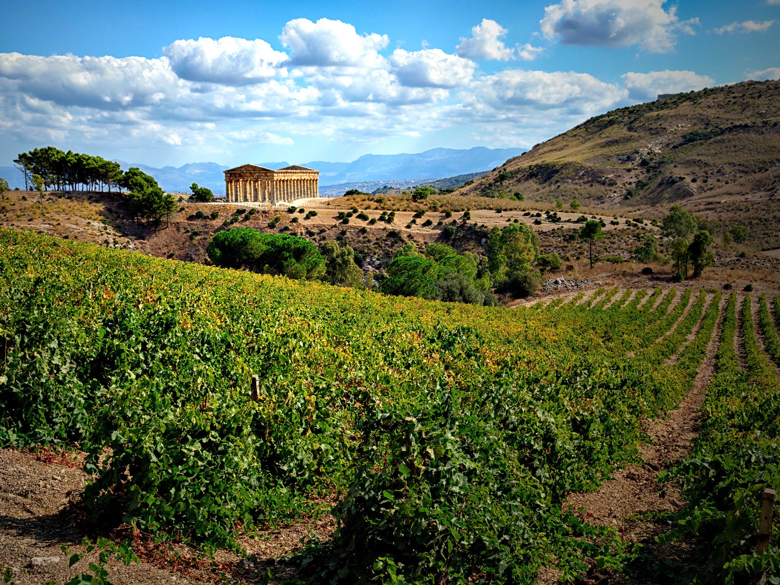 Inycon a Menfi Wine Festival Sicily