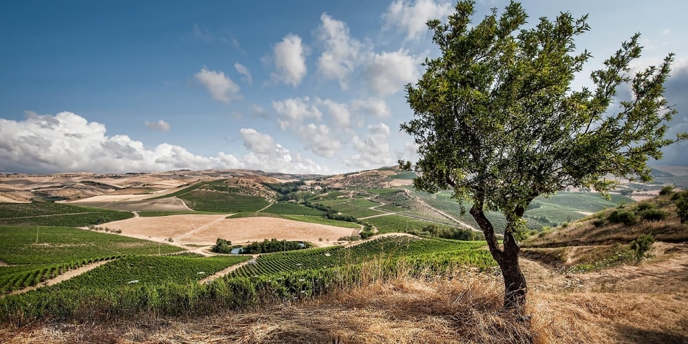 Tasca d'Almerita Best Wineries to Visit in Etna, Sicily winerist.com