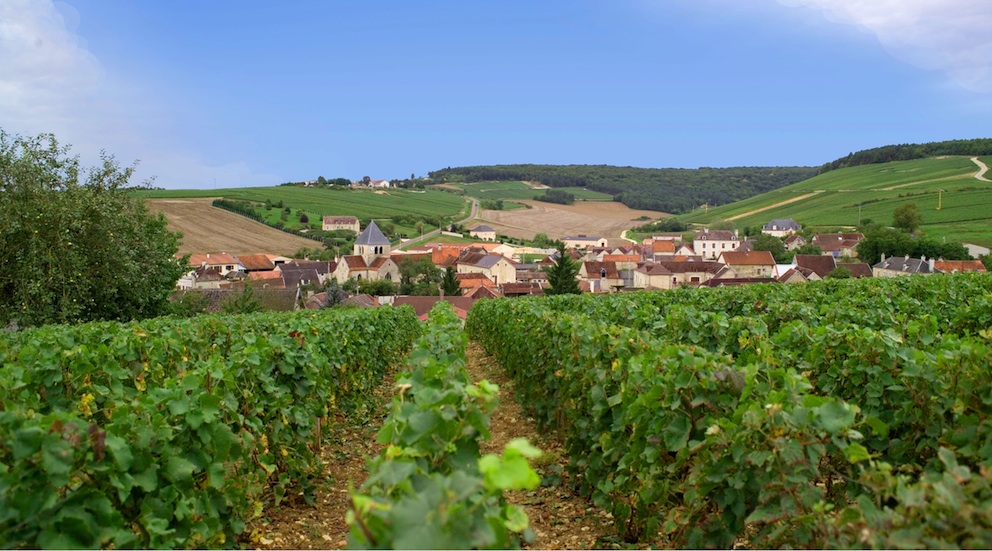 Tendil lombardi winery