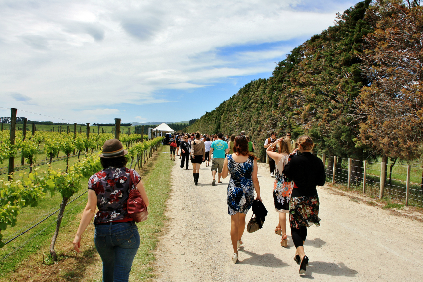 Visit vineyards in Martinsborough