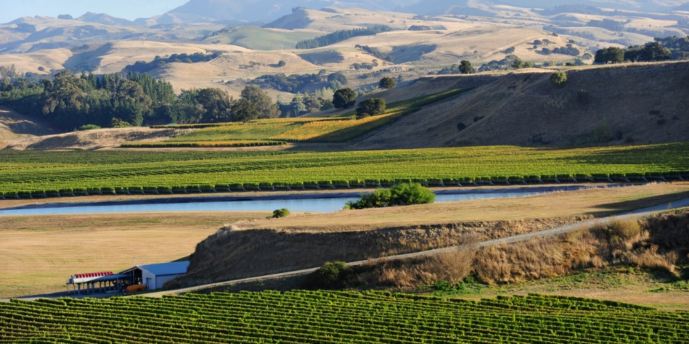 Wairarapa, Wine Regions of New Zealand, Winerist