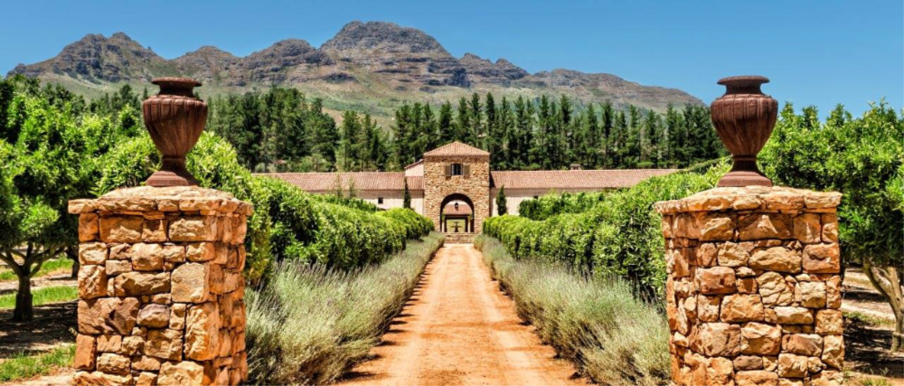 stellenbosch wine farms to visit