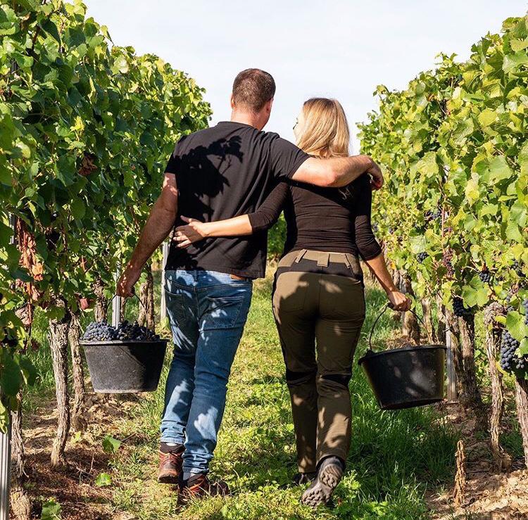 Weingut Deiss Winery, Rheinhessen, Best Harvest Picture Competition 2019, Week 3 Winner, Winerist