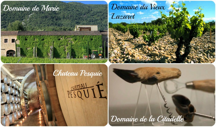 Places to Taste wine in Vaucluse