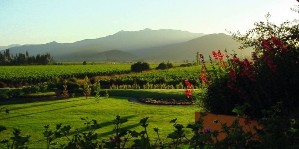 William Cole Vineyard Best Wineries to Visit in Chile winerist.com