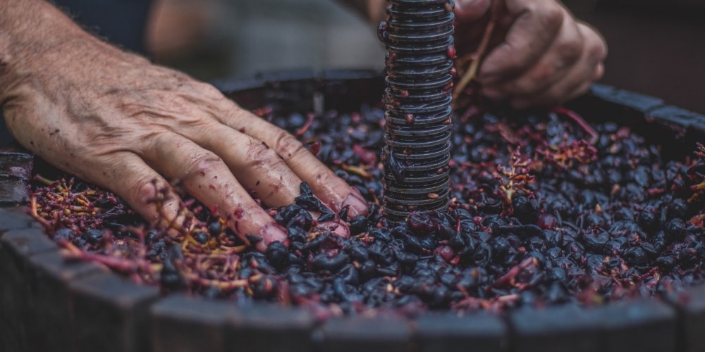 Wine Blending at Fattoria Viticcio Winery Winerist