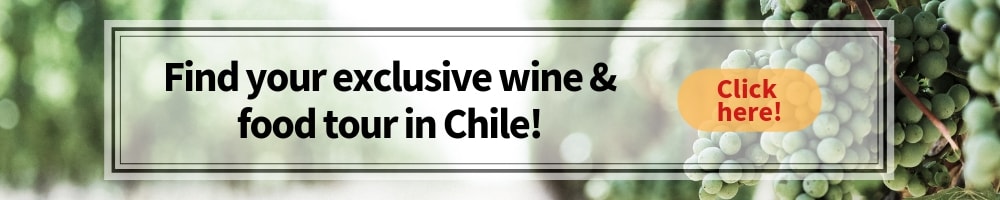 wine and food tours in Chile winerist.com