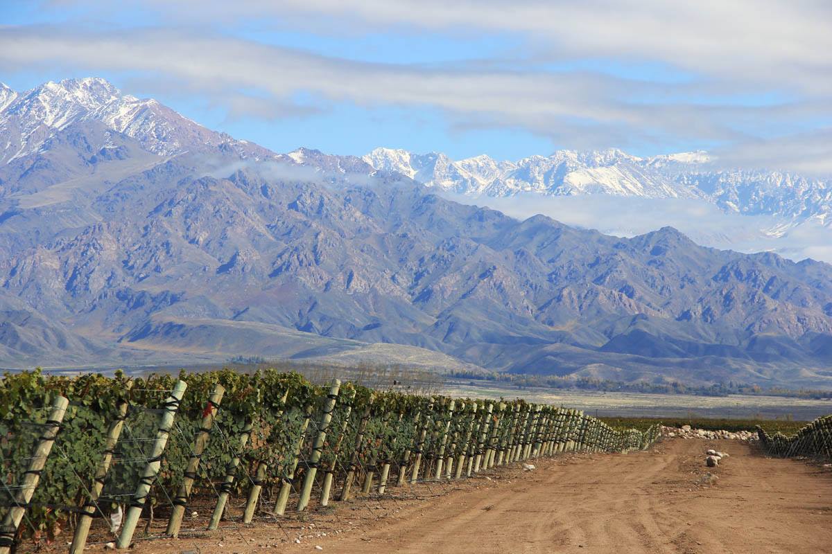 Familia Zuccardi