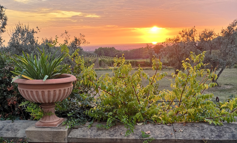 biserno vineyard maremma winerist