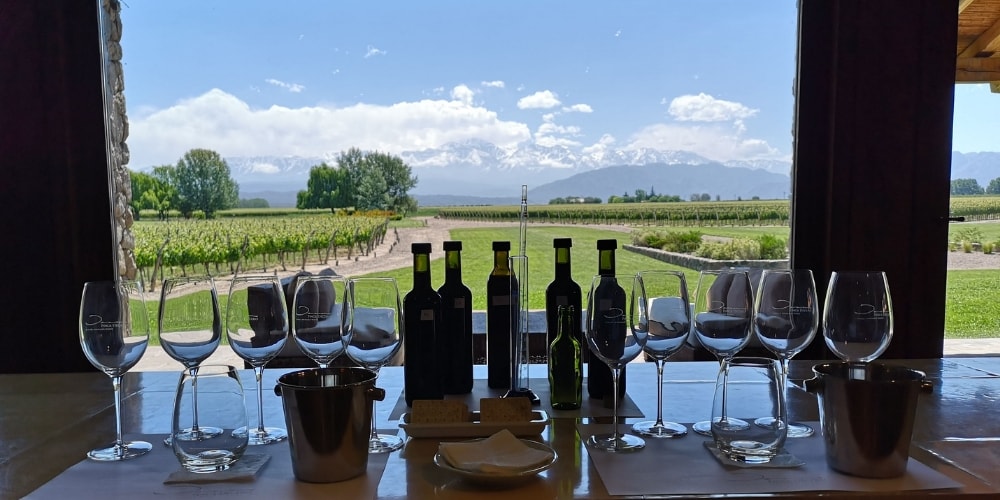 winerist wine tours chile