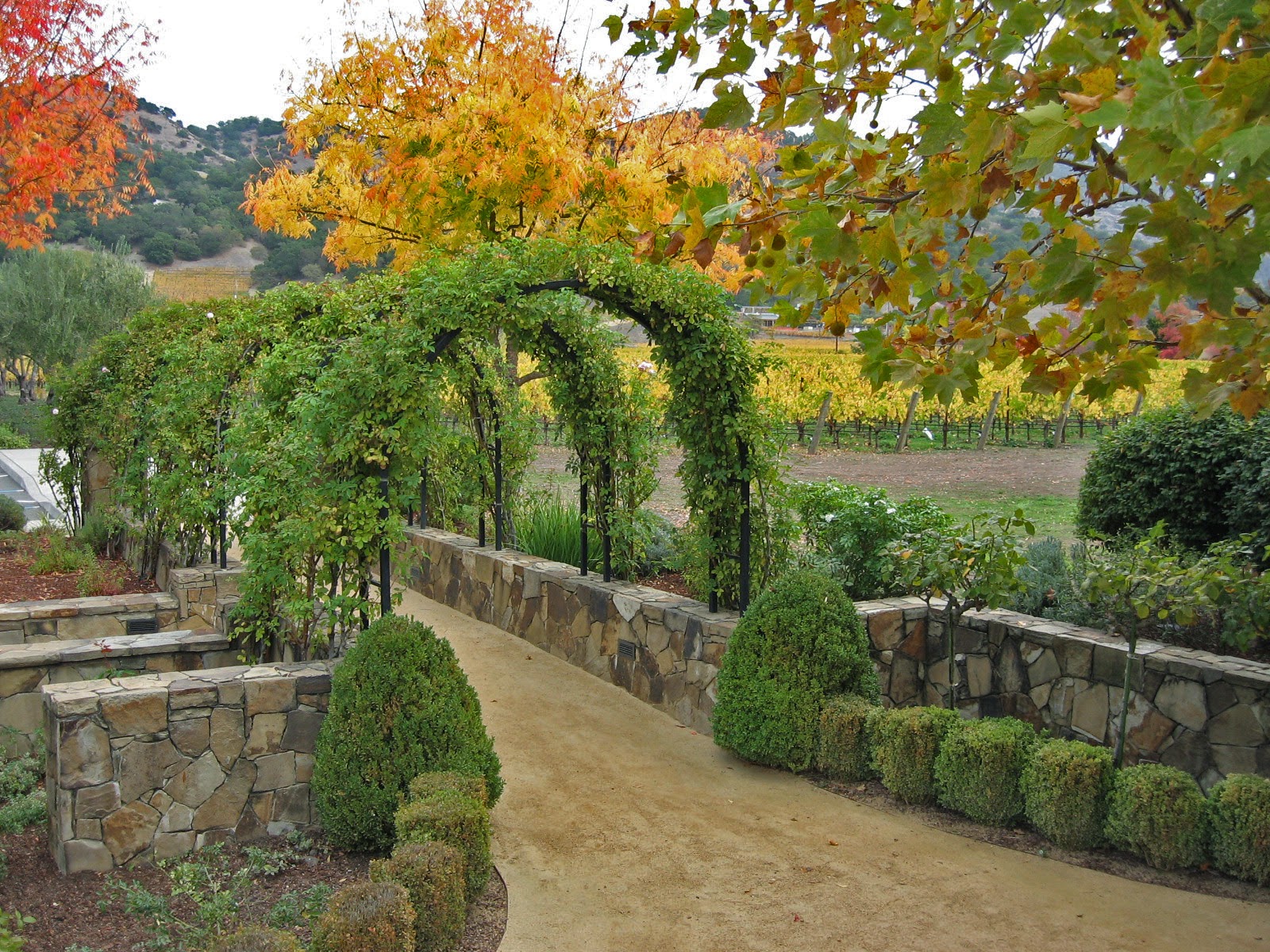 Cliff Lede winery