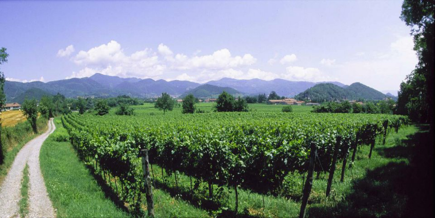 Discovering Franciacorta and Monte Isola