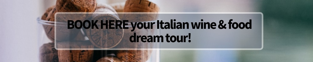 Italian wine and food tours winerist.com