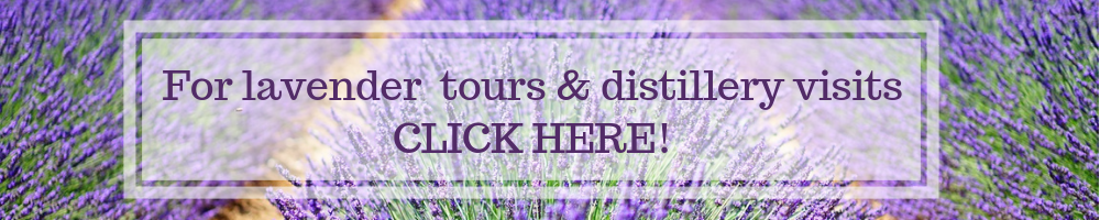 lavender tours with winerist