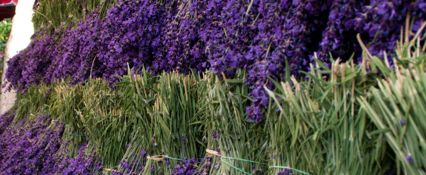 Fetes de la lavande - lavender festival