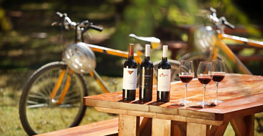 wine bike