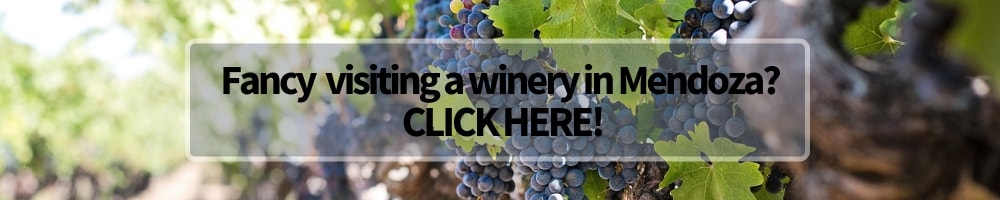 Mendoza Winery Visit banner Winerist