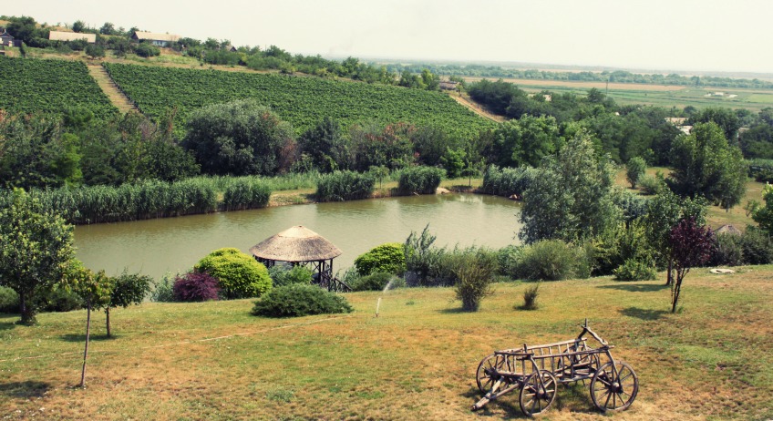 Moldova Wine Region