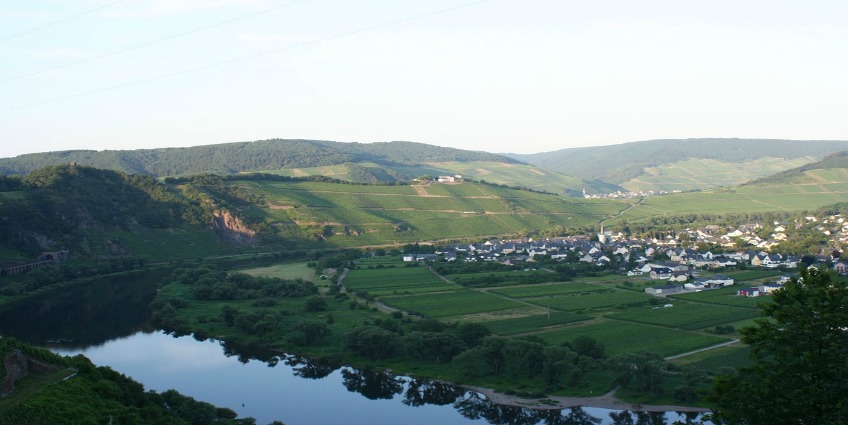 Top 10 Wine Producing Regions of the World - Germany