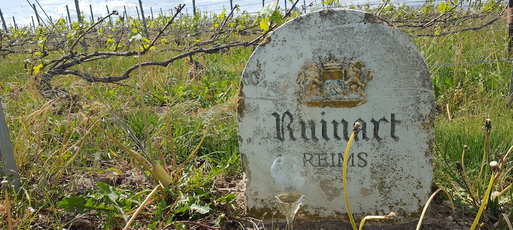 The Vineyards at Ruinart