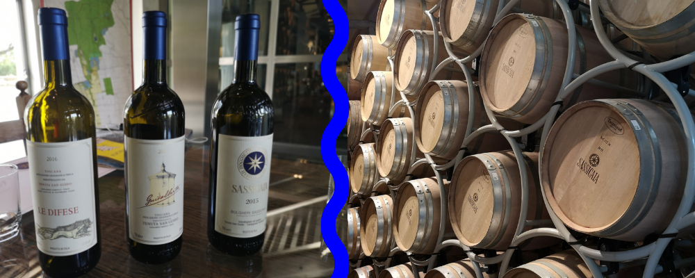 Story of Sassicaia