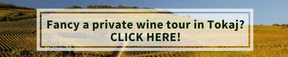 winerist wine tours tokaj hungary