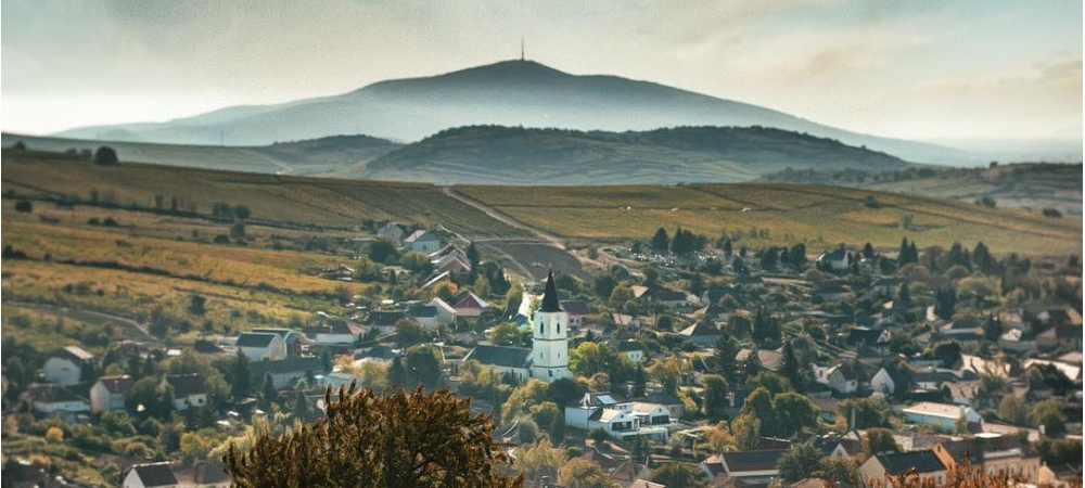 winerist wine tours tokaj hungary