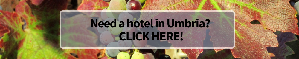 Umbria Wine and Food Tours Winerist