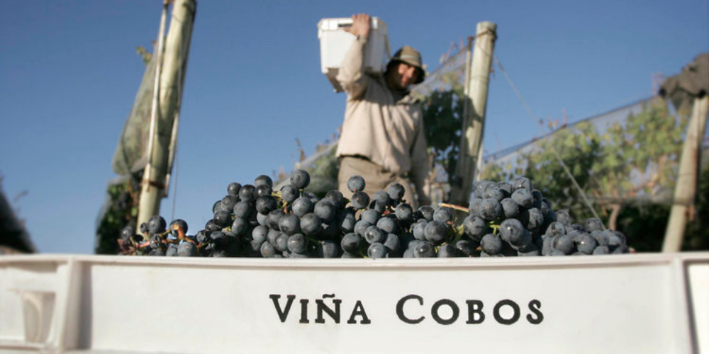 winerist wine tours mendoza