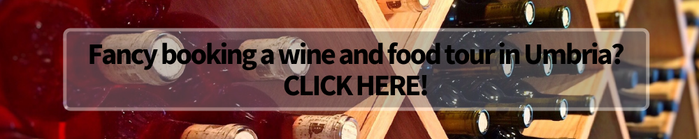 wine and food tours Umbria banner, Winerist