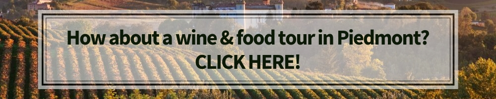 Piedmont wine and food tours, Winerist