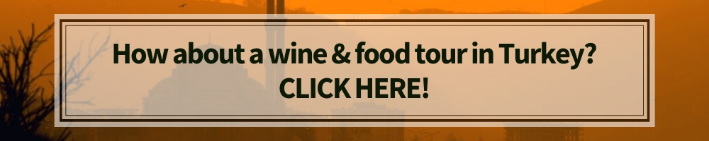 wine and food tours in Turkey banner winerist.com