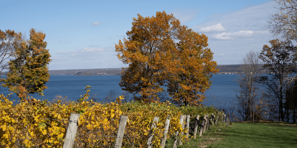 Finger_Lake_Winerist_USA_wine_destination