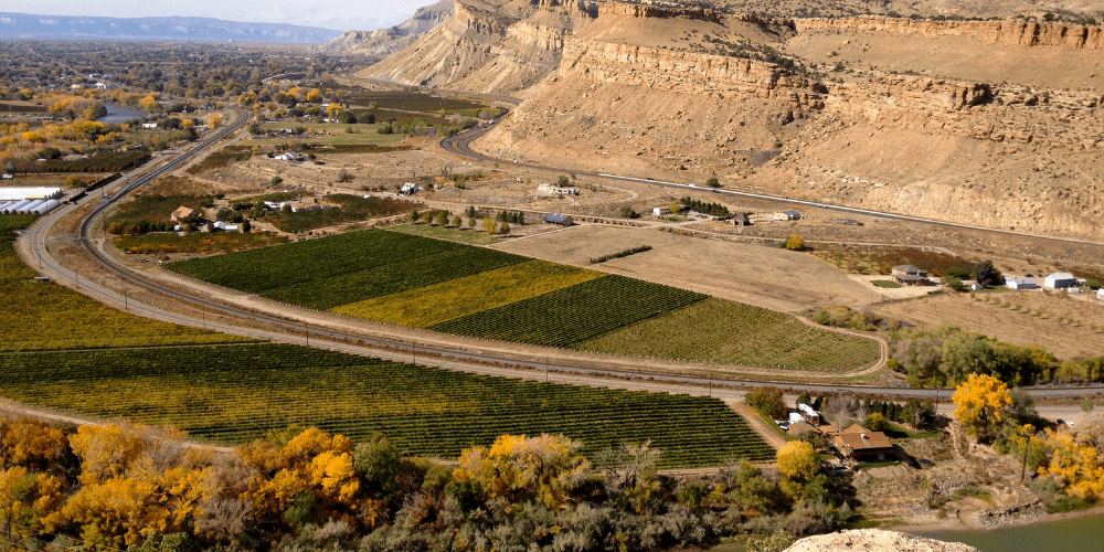 Palisade_Winerist_USA_wine_destination