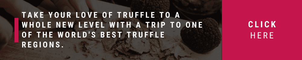 truffle_hunting_tours_Winerist