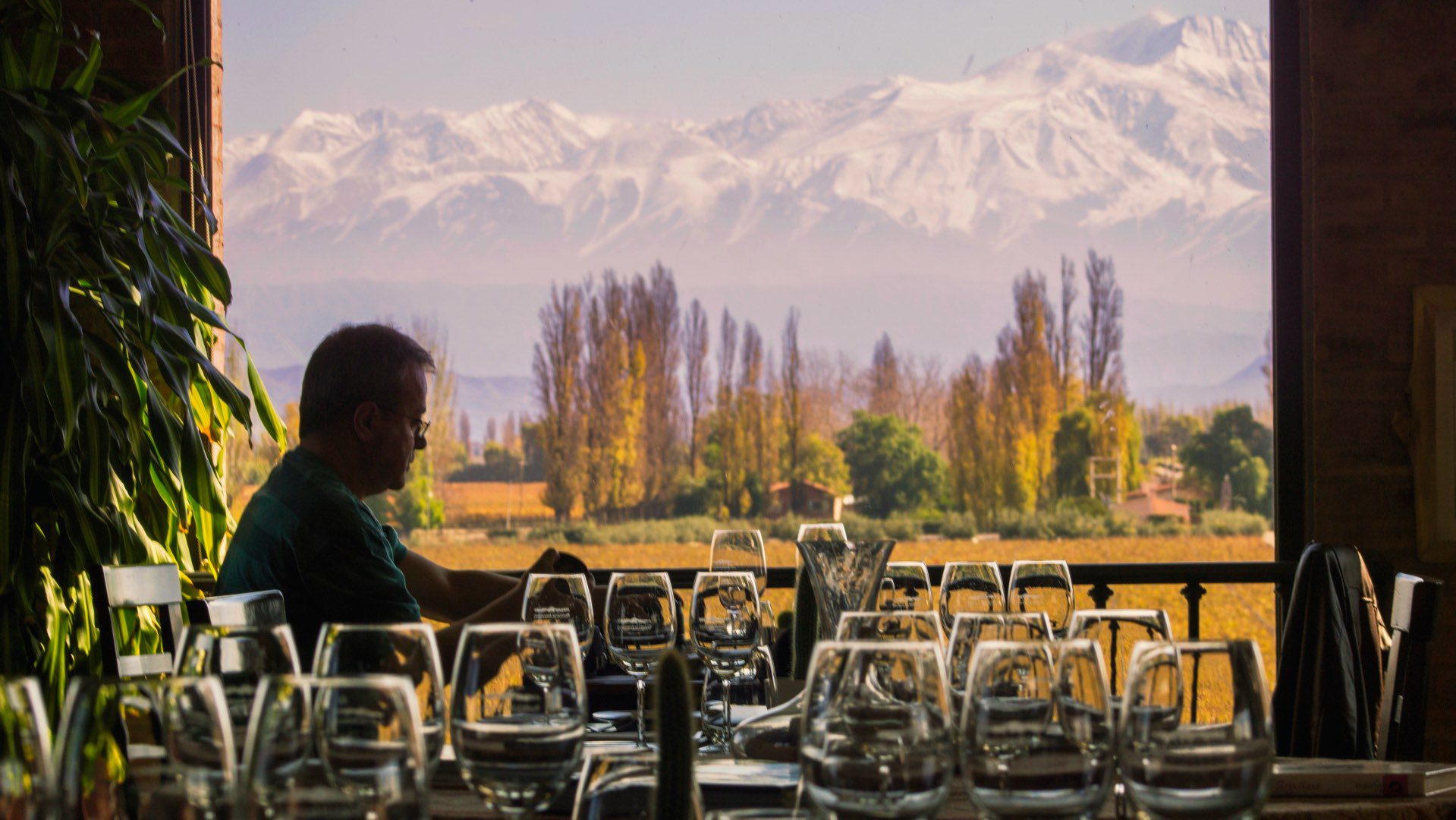 Best-mendoza-private-tailor-made-wine-tour