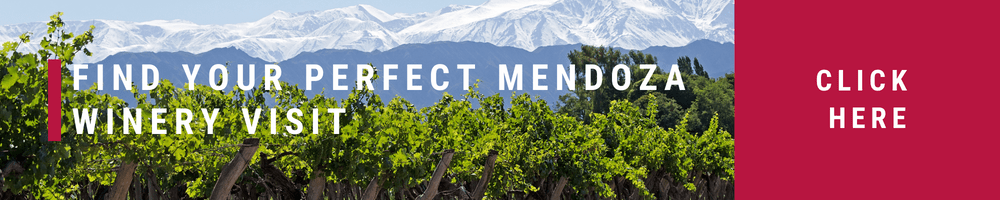 Mendoza winery visits